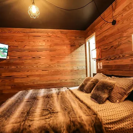 Chalet Odalys Les Lions Blancs Valloire